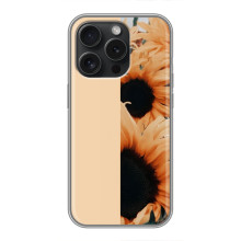 Чехлы с картинкой Подсолнухов для Хuawei Онор Плей 60 Плюс (Красивые подсолнухи)