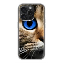 Чохли з Котиками для Huawei Honor Play 60 Plus (VPrint) (Око кота)