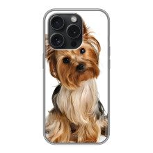 Чехол (ТПУ) Милые собачки для Huawei Honor Play 60 Plus (Собака Терьер)
