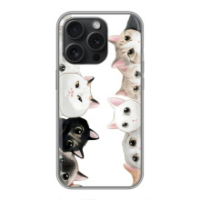 Силиконовый чехол с котиком для Huawei Honor Play 60 Plus – Коты