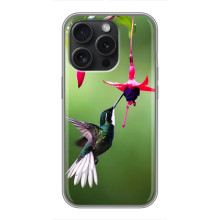 Силиконовый чехол с птичкой на Huawei Honor Play 60 Plus – Калибри