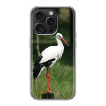 Силиконовый чехол с птичкой на Huawei Honor Play 60 Plus