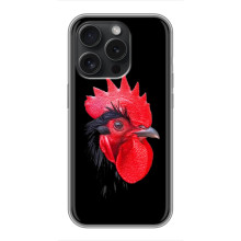 Силиконовый чехол с птичкой на Huawei Honor Play 60 Plus – Петушок