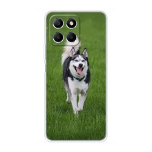 Чохол з Хаскі Huawei Honor X6 - (AlphaPrint) (Радісний Хаскі)