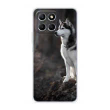 Чохол з Хаскі Huawei Honor X6 - (AlphaPrint) (Вірний собака)