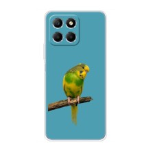 Силиконовый чехол с птичкой на Huawei Honor X6 – Попугайчик