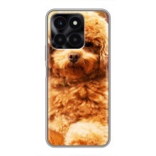 Чохли з собаками для Huawei Honor X6a (VPrint) (Цуценя Бішон)