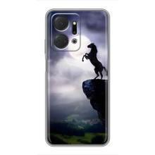 Чохли з зображенням різних тварин на Huawei Honor X7a (Кінь)