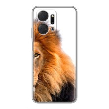 Чохли з картинкою животних Huawei Honor X7a (Лев грива)