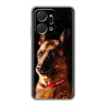 Чохли з картинкою животних Huawei Honor X7a (Овчарка)