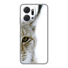 Чохли з картинкою животних Huawei Honor X7a (Рись)