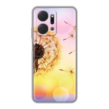 Чохол з картинкою (Стильні) Huawei Honor X7a - (AlphaPrint) (Кульбабка)