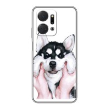 Чохли з собаками для Huawei Honor X7a (VPrint) (Радісний Хаскі)