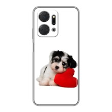Чохли з собаками для Huawei Honor X7a (VPrint) (Песик)