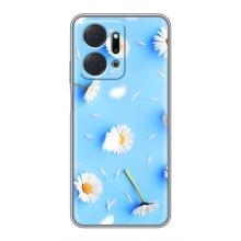 Чехол с Цветами для Huawei Honor X7a (ромашки на голубом)