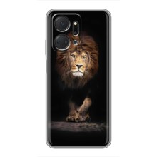 Чехол со Львом для Huawei Honor X7a (VPrint) (Лев)