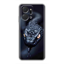 Чехол с картинкой «Хищники» для Huawei Honor X7a – Змея
