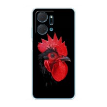 Силиконовый чехол с птичкой на Huawei Honor X7a – Петушок