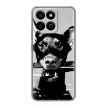 Чехол ДОБЕРМАН для Huawei Honor X7c (Опасный доберман)