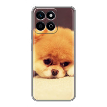 Чехол (ТПУ) Милые собачки для Huawei Honor X7c – Померанский шпиц