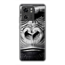 Чехлы с Горилой на Хuawei Онор Х8 5Г (Черная обезьяна)