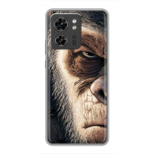 Чехлы с Горилой на Хuawei Онор Х8 5Г (Суровый)