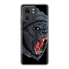 Чехлы с Горилой на Хuawei Онор Х8 5Г (Злая Обезьяна)