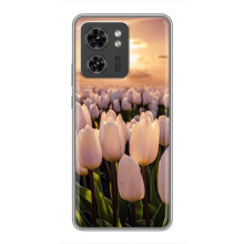 Чехлы с картинкой (Тюльпаны) на Хuawei Онор Х8 5Г (Закат с цветами)