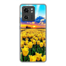 Чехлы с картинкой (Тюльпаны) на Хuawei Онор Х8 5Г (Желтые тюльпаны)