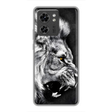 Чехол с картинкой на Huawei Honor X8 5G (Злой ЛЕВ)