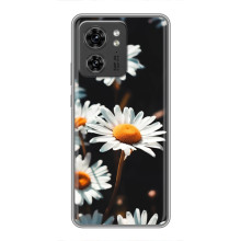 Чехол с ромашками на Huawei Honor X8 5G (Белые ромашки)