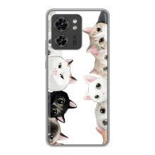 Чохол із милими котиками на Гуавеï Онoр X8 5G – Чорно-білі котики