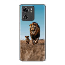 Чохол Король лев на Юавеї ВотXor X8 5G – Мусафа і Сімба