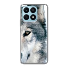 Чохли з картинкою животних Huawei Honor X8a (Вовк)