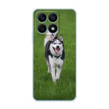 Чохол з Хаскі Huawei Honor X8a - (AlphaPrint) (Радісний Хаскі)