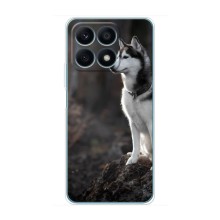 Чохол з Хаскі Huawei Honor X8a - (AlphaPrint) (Вірний собака)
