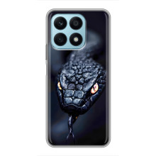 Чехол с картинкой «Хищники» для Huawei Honor X8a – Змея