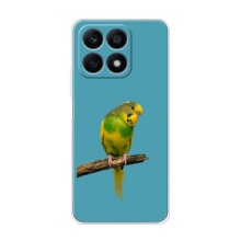 Силиконовый чехол с птичкой на Huawei Honor X8a – Попугайчик