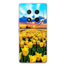 Чехлы с картинкой (Тюльпаны) на Хuawei Понор Х9с