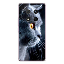 Чехлы с Котиками для Huawei Honor X9c (VPrint) – Серый Кот