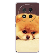 Чехол (ТПУ) Милые собачки для Huawei Honor X9c (Померанский шпиц)