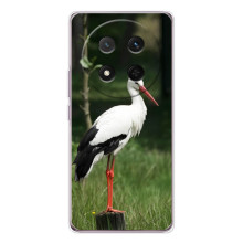 Силиконовый чехол с птичкой на Huawei Honor X9c – Лелека