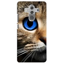 Чехлы с Котиками для Huawei Mate 10 Pro (VPrint) (Глаз кота)