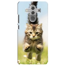 Чехлы с Котиками для Huawei Mate 10 Pro (VPrint) (Прыжок кота)
