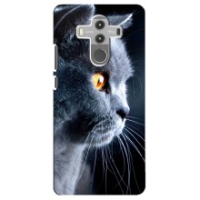 Чехлы с Котиками для Huawei Mate 10 Pro (VPrint) (Серый Кот)