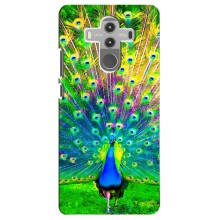 Чехол с птицами на Huawei Mate 10 Pro (VPrint) (Яркий Павлин)