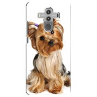 Чехол (ТПУ) Милые собачки для Huawei Mate 10 Pro (Собака Терьер)
