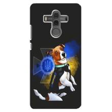 Чехлы с картинкой собаки Патрон для Huawei Mate 10 (AlphaPrint) (Патрон собачка)