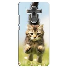 Чехлы с Котиками для Huawei Mate 10 (VPrint) (Прыжок кота)