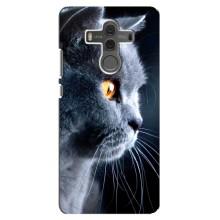 Чехлы с Котиками для Huawei Mate 10 (VPrint) (Серый Кот)